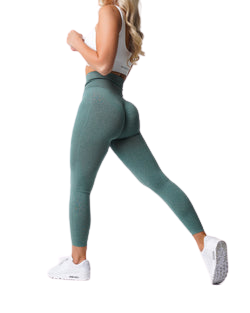 TUMMY CONTROL SEAMLESS LEGGINGS